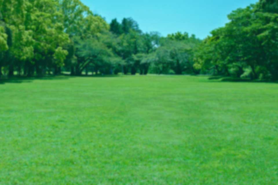 こぎだせ、キミの好奇心 背景画像